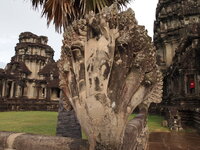 PB172762.jpg PB172762.jpg