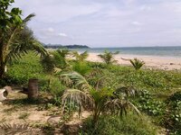 12065970_1504494816544937_2559375734194318944_n.jpg 12065970_1504494816544937_2559375734194318944_n.jpg