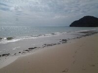 12187903_1504524833208602_265841208179849151_n.jpg 12187903_1504524833208602_265841208179849151_n.jpg