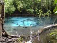 12227554_1505951403065945_8331288409899402509_n.jpg 12227554_1505951403065945_8331288409899402509_n.jpg