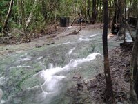 12234902_1505951239732628_2825751035182662443_n.jpg 12234902_1505951239732628_2825751035182662443_n.jpg