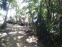 12243088_1508124402848645_6971109493669665962_n.jpg 12243088_1508124402848645_6971109493669665962_n.jpg