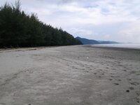 11041117_1509705259357226_2474715444666776433_n.jpg 11041117_1509705259357226_2474715444666776433_n.jpg