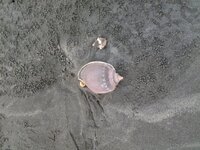 20151118_155936.jpg 20151118_155936.jpg