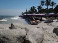 11202110_1510205502640535_2162192709847889426_n.jpg 11202110_1510205502640535_2162192709847889426_n.jpg