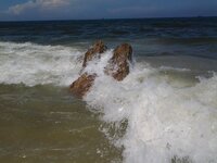 12235040_1510205895973829_1262221134296204790_n.jpg 12235040_1510205895973829_1262221134296204790_n.jpg