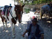 12243567_1510206719307080_4140168693673559783_n.jpg 12243567_1510206719307080_4140168693673559783_n.jpg