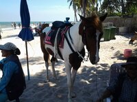 12234922_1510206405973778_6154640203689889708_n.jpg 12234922_1510206405973778_6154640203689889708_n.jpg