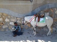 12243540_1510207005973718_5153428125540608092_n.jpg 12243540_1510207005973718_5153428125540608092_n.jpg