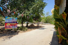 DSC04124.JPG