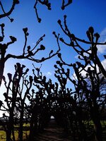 dsc00812_fileminimizer.jpg
