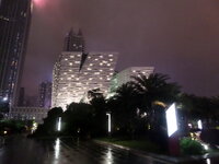 SAM_2461.JPG SAM_2461.JPG