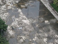 SAM_2566.JPG SAM_2566.JPG