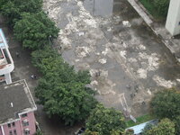 SAM_2570.JPG SAM_2570.JPG