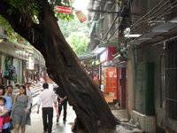 SAM_2580.JPG SAM_2580.JPG