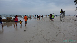 dsc07298.jpg