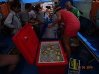 DSC01186.JPG