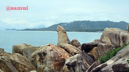 dsc00204.jpg
