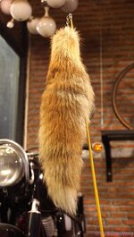 DSC06386.JPG