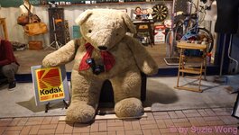 DSC06485.JPG