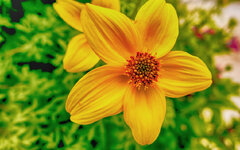 P1040247-1.jpg