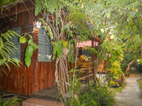 20130327-DSCN0357.jpg