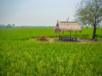 20130401-DSCN0437.jpg