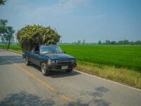 20130401-DSCN0439-2.jpg