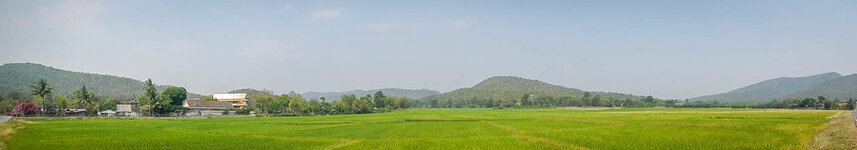 20130401-DSCN0446.jpg