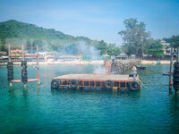 20130403-DSCN0512-2.jpg