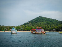 20130404-DSCN0537.jpg