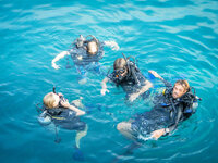 20130405-DSCN0560.jpg