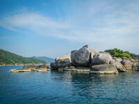 20130405-DSCN0552.jpg
