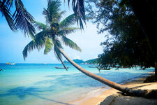 20130404-DSCN0514 (1).jpg