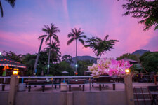 20130407-P4070417.jpg