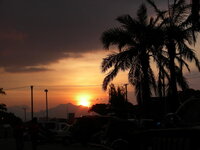 26126316nj.jpg