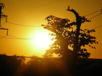 26126781mn.jpg