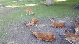 20160708_181026.jpg