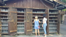 20160708_182406.jpg