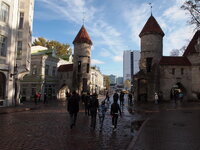 PA230583.jpg