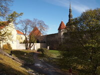 PA230628.jpg