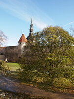 PA230629.jpg