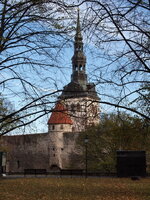 PA230639.jpg