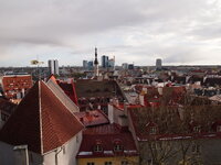 PA230650.jpg