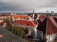 PA230652.jpg