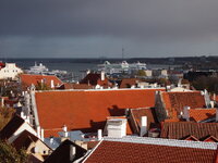PA230655.jpg