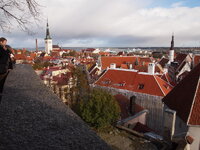 PA230665.jpg