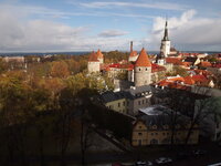 PA230671.jpg