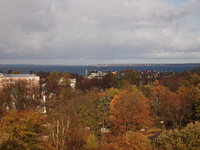 PA230672.jpg