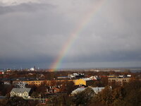 PA230677.jpg